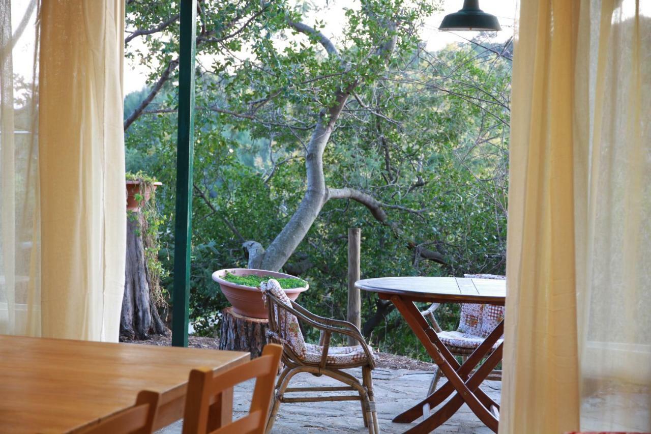 Villa Giulia al mare Castiglione della Pescaia Exterior foto